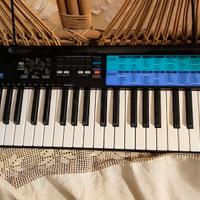 Tastiera elettronica Casio CA 100