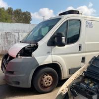 fiat ducato 2009 2010