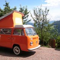 VW T2 "Bulli" Westfalia