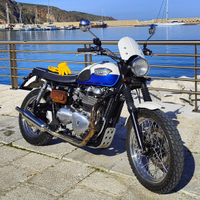 Triumph Scrambler 865