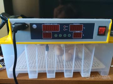 Incubatrice MGidea