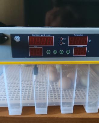 Incubatrice MGidea