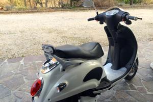 Scooter elettrico "IBIS" 48 v