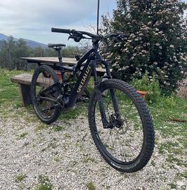 Specialized stumpjumper
