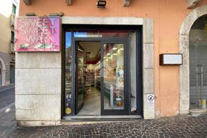 ATTIVITÀ A DESENZANO DEL GARDA