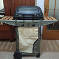 Barbecue con Forno
