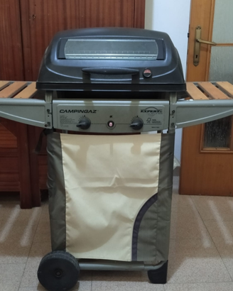 Barbecue con Forno