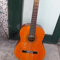 Chitarra eko 