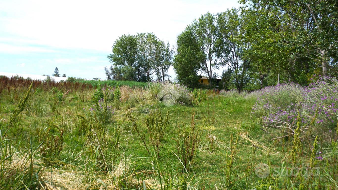 TER. AGRICOLO A EBOLI - Vista 5