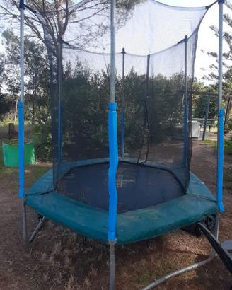 Trampolino elastico