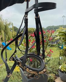 Capezzone/capezza da addestramento e lavoro