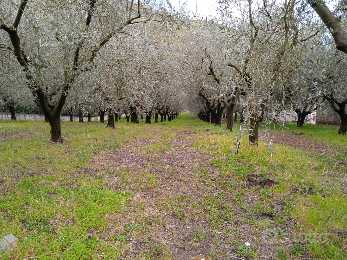 Terreno edificabile - Vista 3