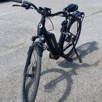 Bicicletta elettrica