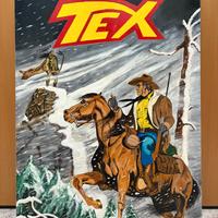 Quadro Pop Art Acrilico su tela TEX fumetto 80x60