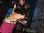 Immagine 3