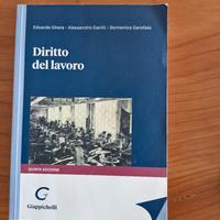 Ghera - Garilli - Garofalo - Diritto del Lavoro