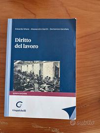 Ghera - Garilli - Garofalo - Diritto del Lavoro