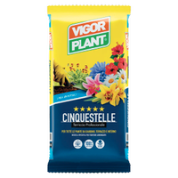 Terriccio Universale 5 stelle VIGORPLANT 70 LT