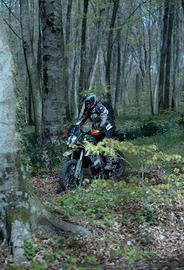 KTM  890  Adventure R