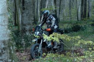 KTM  890  Adventure R