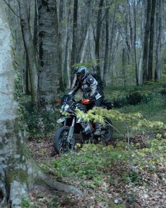 KTM  890  Adventure R