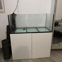 Acquario marino elos
