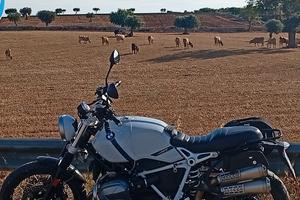BMW R 12 nineT usata in vendita in Puglia - Subito.it
