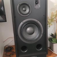 Magnat transpuls 1000 
