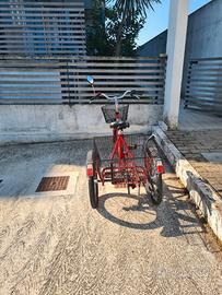 Triciclo per adulti