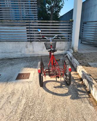 Triciclo per adulti