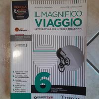 Il magnifico viaggio 6