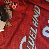 NBA Champion • Lebron James - Cavs 2009-10