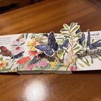 Libro per bambini "La farfalla" pop-up