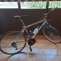 MTB Bianchi - mountain bike