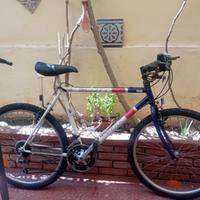 Bicicletta Scott
