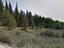 Immagine 14
