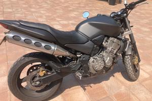 Spendida  Hornet 900 naked
