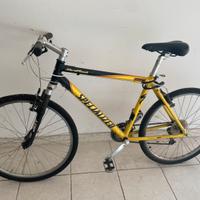 Bici Specialized