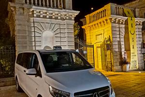 mercedes vito 2.2 119 9 posti 