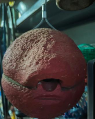 nido per piccoli uccelli