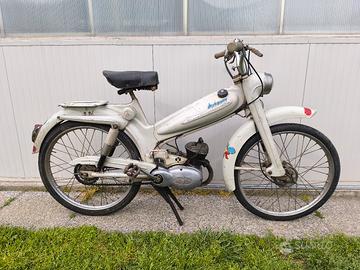 mosquito anni 50