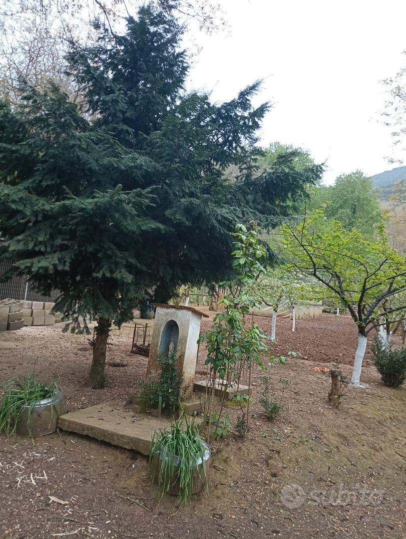 Terreno agricolo - Vista 4