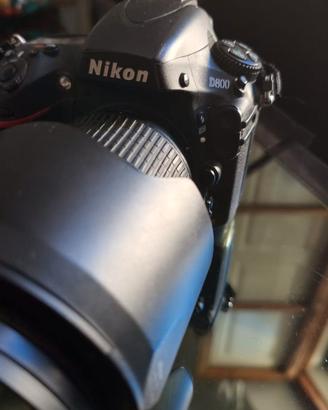 Nikon d800 + nikon Af-s 24 70 f2.8