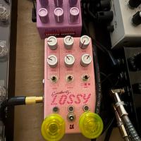 Chase Bliss Lossy