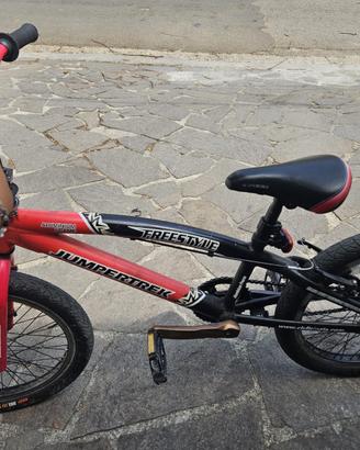 Bmx cerchio 20