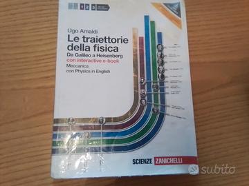 Amaldi le traiettorie della fisica