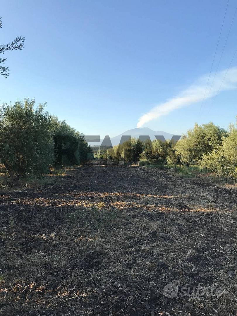Terreno - Belpasso - Vista 2