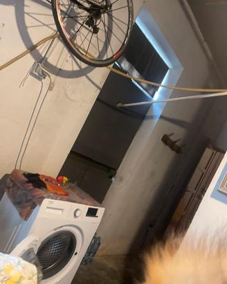 Bici da corsa tutta in carbonio