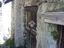 Immagine 9