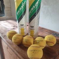 Palline da tennis
